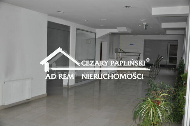 Lokal użytkowy Biała Podlaska, Biała Podlaska