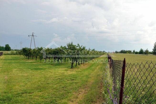 Działka budowlana Sławacinek Nowy gm. Biała Podlaska