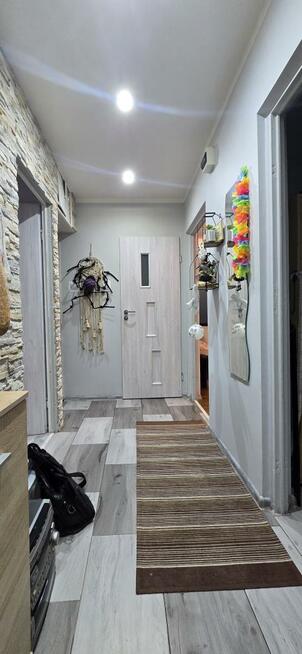 Mieszkanie Katowice Bogucice, Hoppego