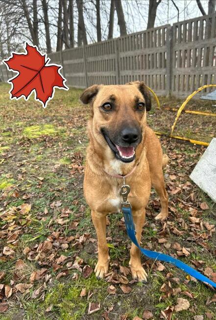 Proludzka Sunia po przejściach marzy o kochającym domu