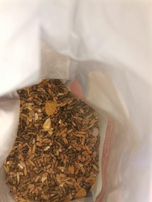 Chomik syryjski czarno biały +klatka+pokarm