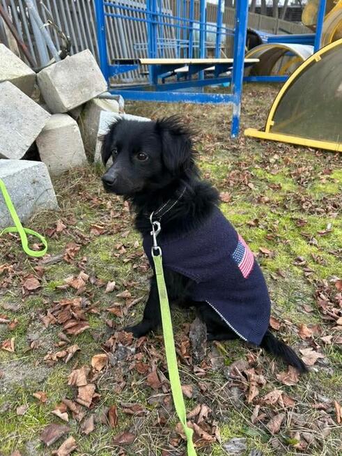 Kruchy delikatny młodziak czeka na wspaniały domek