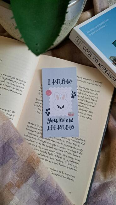 Zakładki Stray Kids