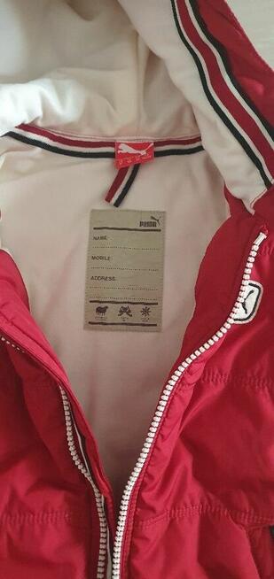 Puma kurtka rozm 98 Unisex Kolor bordo