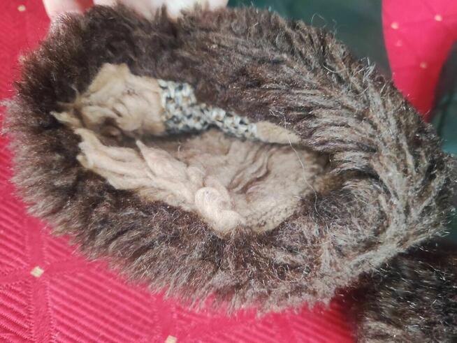 Rękawiczki Skórzane Damskie Rękawice z Futerkiem jednopalcowe