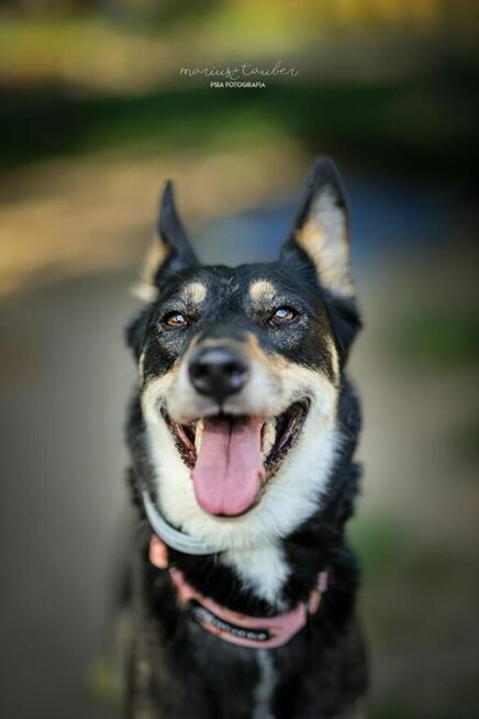 Nutka gotowa na nową piosenkę – ktoś jej poda rękę?