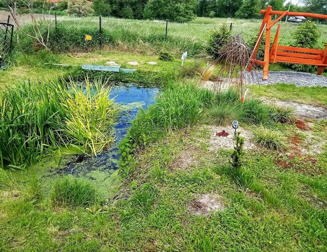 Sylwestra Wynajmę Domek 3km do Gór Sowich