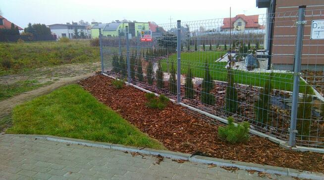 Profesjonalne ogrody i prace ziemne – DANGARDEN