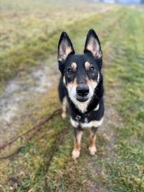 Nutka gotowa na nową piosenkę – ktoś jej poda rękę?