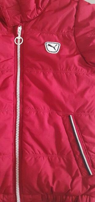 Puma kurtka rozm 98 Unisex Kolor bordo