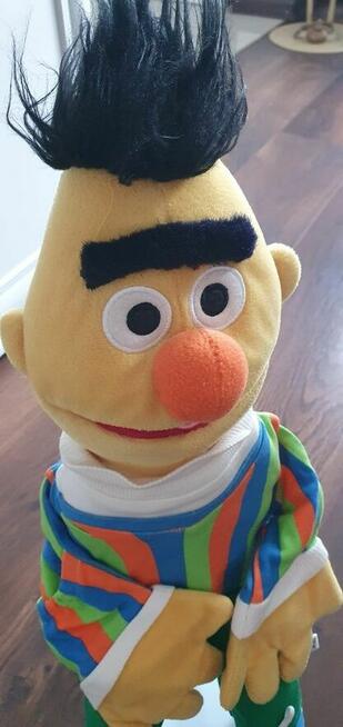 Pacynka Erni Ulica Sezamkowa wys 54cm