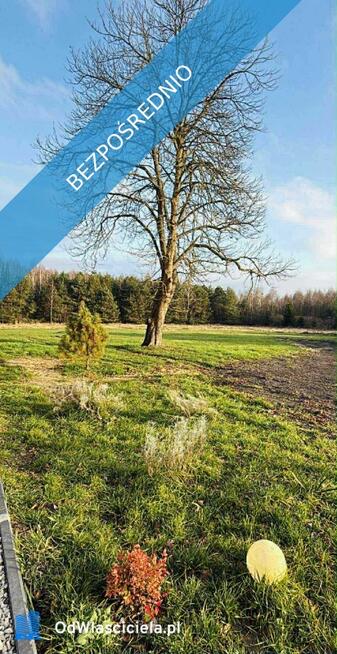 Dom siedlisko posiadłość z dużym potencjałem pod lasem z szeroką dzałką