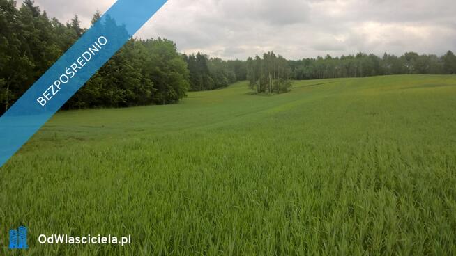 Mazury!! Stare Juchy działki 3000m2 w okolicach jeziora Garbas położone przy lesie