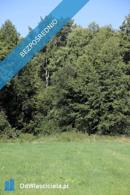 Działka budowlana pod lasem w malowniczej okolicy