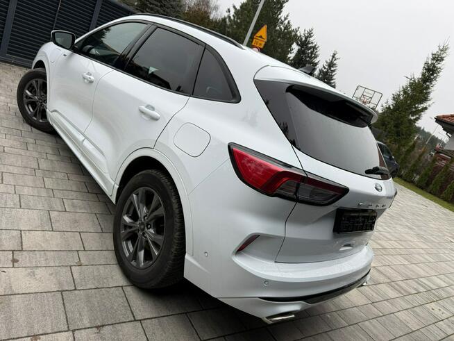 Ford Kuga STLINE PlugIn 2021 Niski Przebieg 225KM Virtual Navi Kamera Opłacony