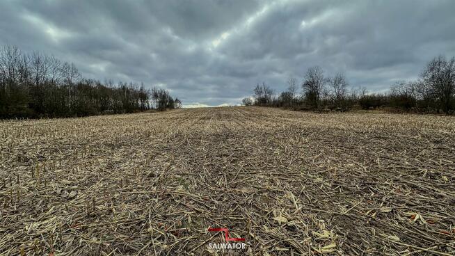 Działka rolna Krzeszowice