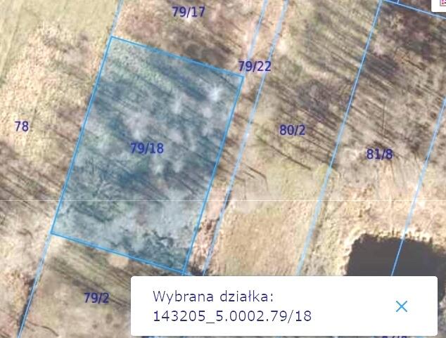 Duża działka w otulinie Kampinosu, Dąbrowa , gm. Łomianki