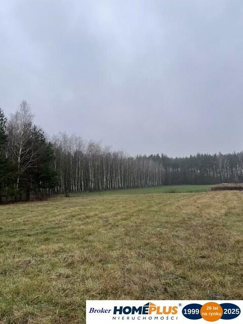 Działka bud. 4113 m² w Sierakowie koło Radzymina.