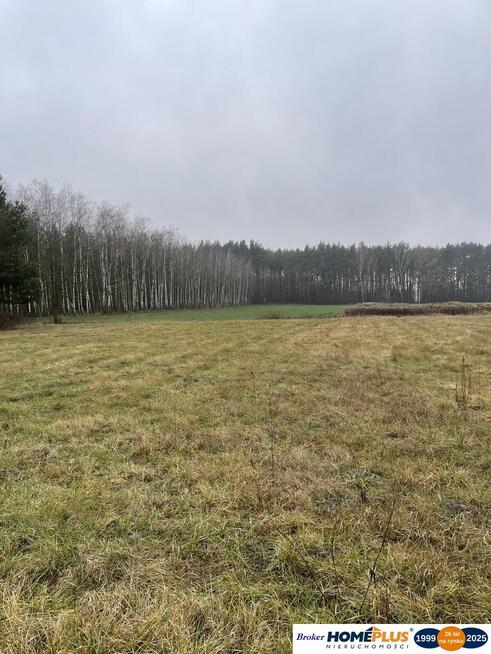 Działka bud. 4113 m² w Sierakowie koło Radzymina.