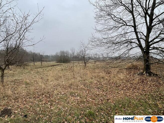 Działka usługowo-przemysłowa 5979 m² w pobliżu M1