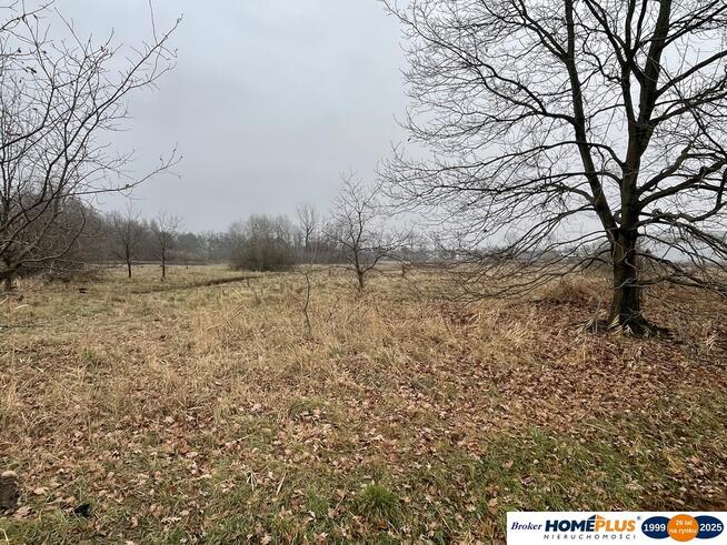 Działka usługowo-przemysłowa 5979 m² w pobliżu M1