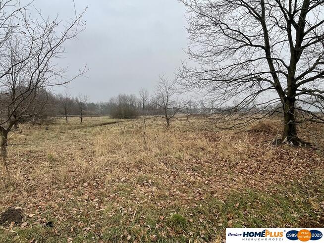 Działka usługowo-przemysłowa 5979 m² w pobliżu M1