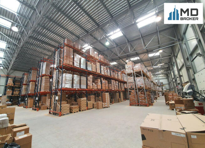 Lokal użytkowy Łomianki Dziekanów Leśny,