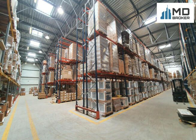 Lokal użytkowy Łomianki Dziekanów Leśny,