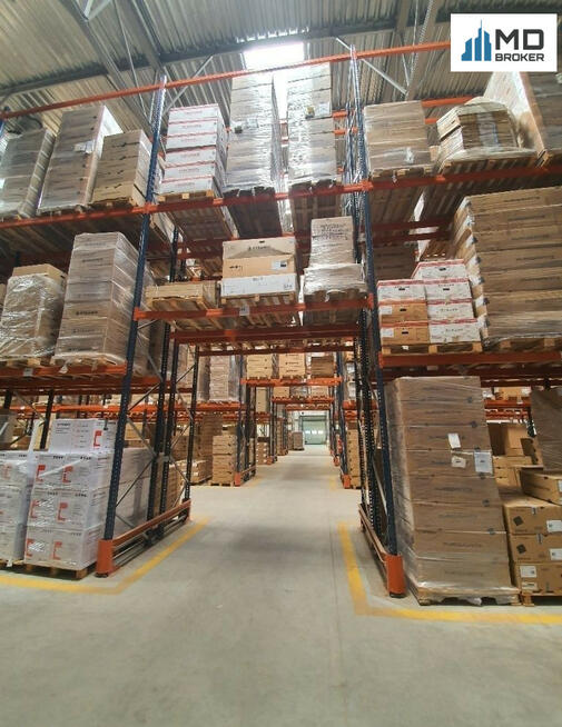 Lokal użytkowy Łomianki Dziekanów Leśny,