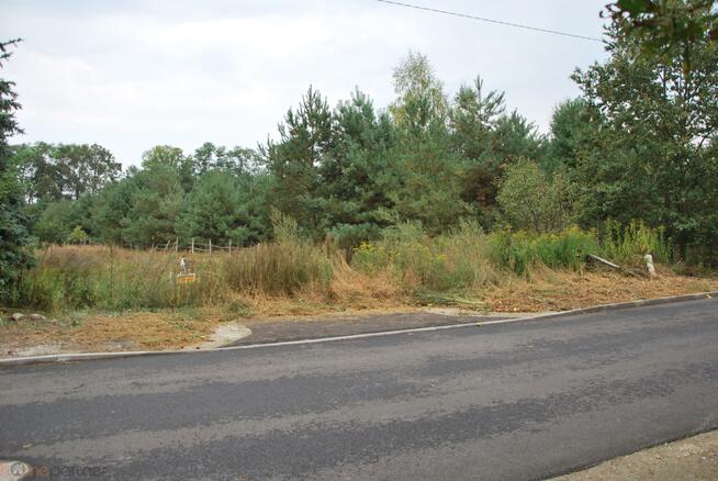 Działka rolno-budowlana Sułów gm. Milicz, Łąkowa