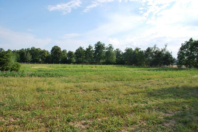 Działka rolno-budowlana Wrocław Psie Pole, Świniary, Osiedle Zagaje