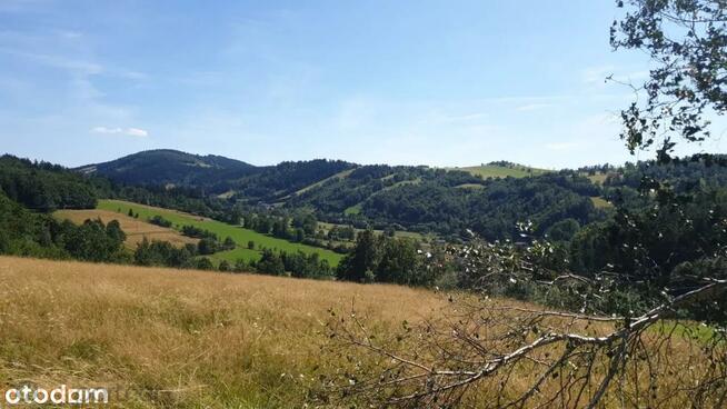 Działka rolna Walim, Adama Mickiewicza