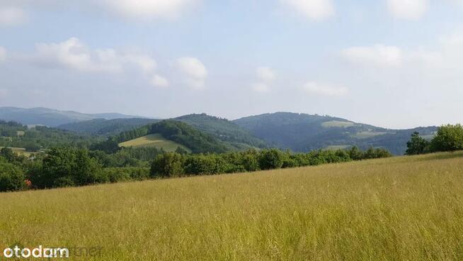 Działka rolna Walim, Adama Mickiewicza