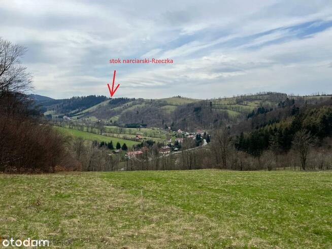 Działka rolna Walim, Adama Mickiewicza