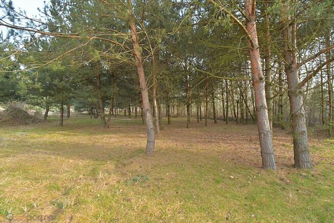 Działka budowlana Miłoszyce gm. Jelcz-Laskowice, Bzowa