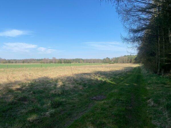 Działka Przybiernów