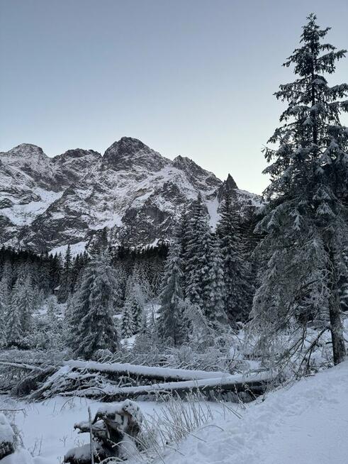 Poznamy się? Co na Sylwestra?