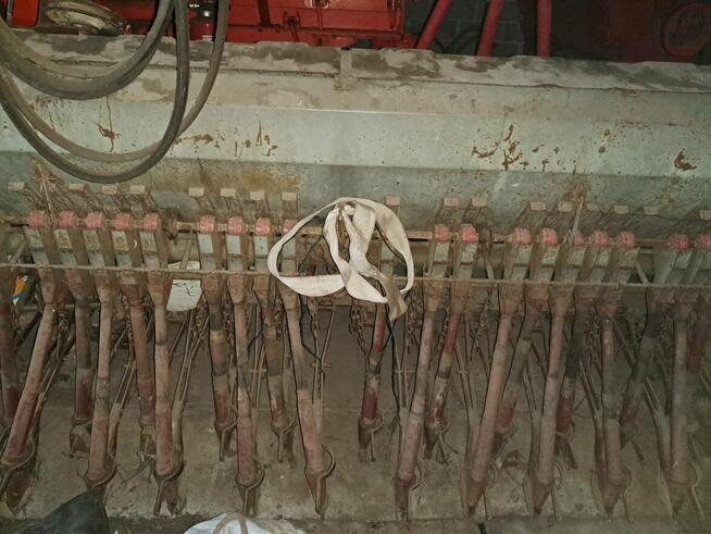 Siewnik zbożowy poznaniak