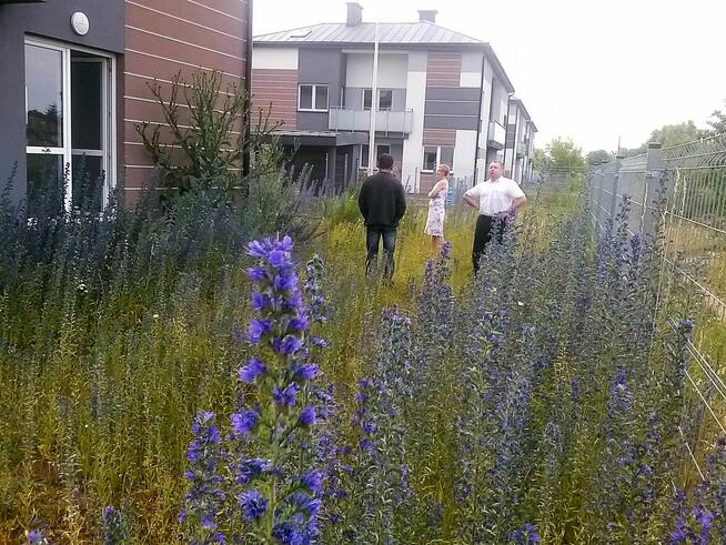 Profesjonalne ogrody i prace ziemne – DANGARDEN