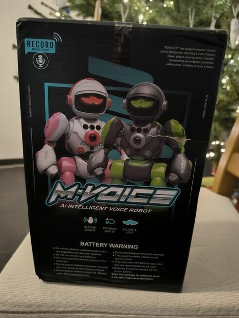 Inteligentny robot M Voice Ai