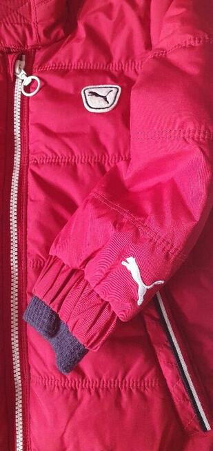 Puma kurtka rozm 98 Unisex Kolor bordo