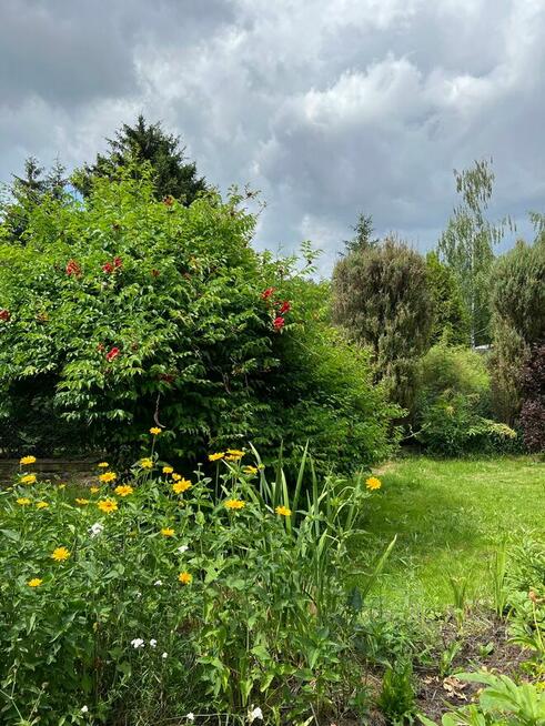 Działka rekreacyjna ROD