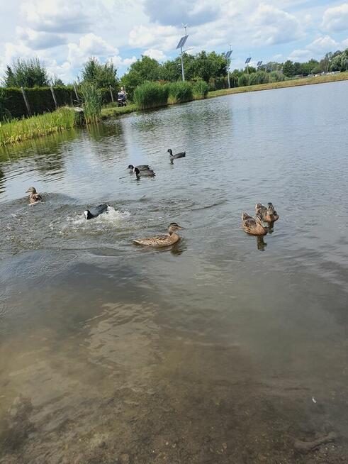 Gliwice ( blisko Katowic) na miejscowość nadmorską