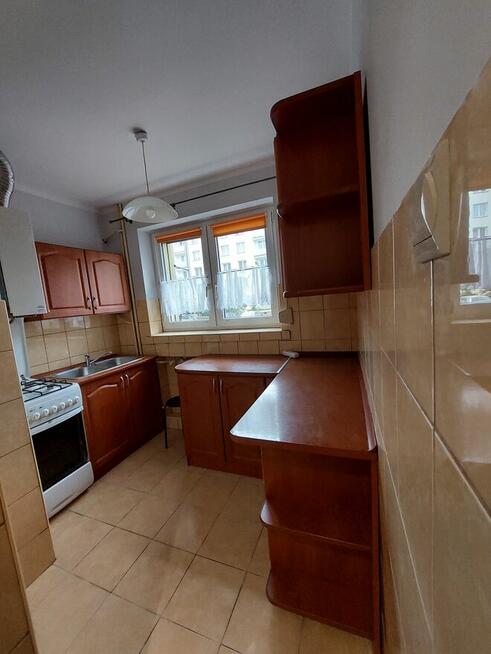 Wynajmę mieszkanie Ruda Śląska HALEMBA II