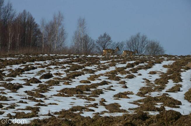 budowlanoRolna 39ar =369.200zł. Trojanowice-ZIELONKI