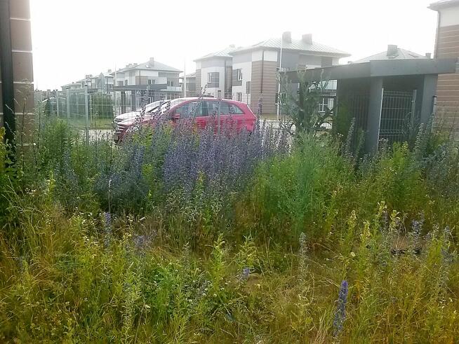 Profesjonalne ogrody i prace ziemne – DANGARDEN