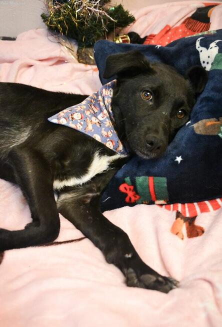 Czas, aby czarna piękność została powoli zauważana