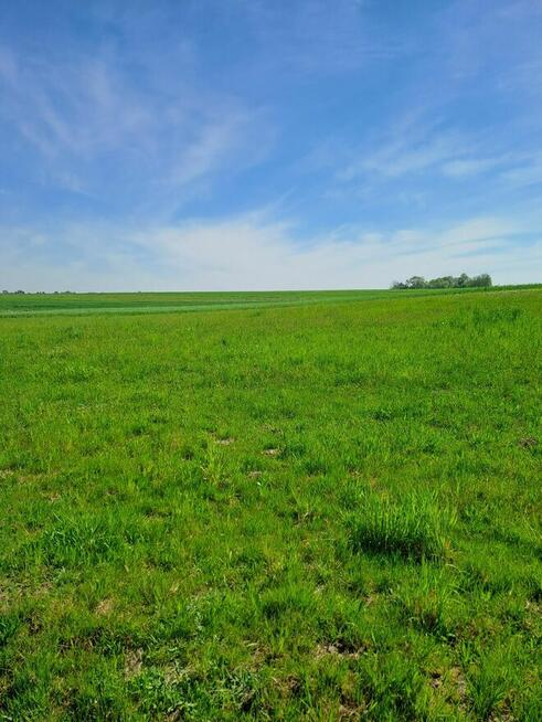Super Tania Działka Busko Strożyska N.Korczyn Media Ostatnia