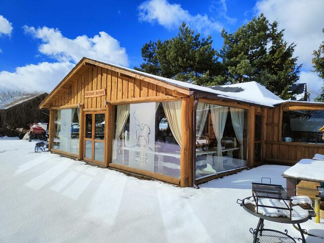 Domek na Kaszubach, ferie w towarzystwie alpak i osiołków