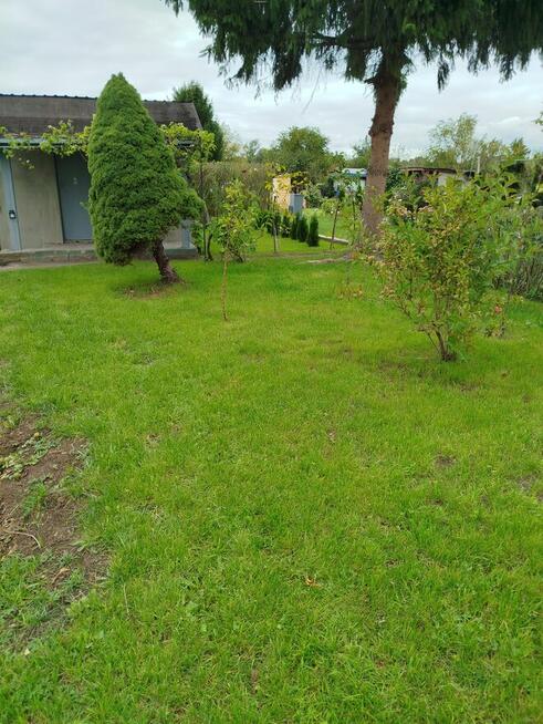 Sprzedam działkę ogrodowa ROD Nowa Sól